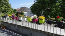 BFS gestaltet Balkonkästen
